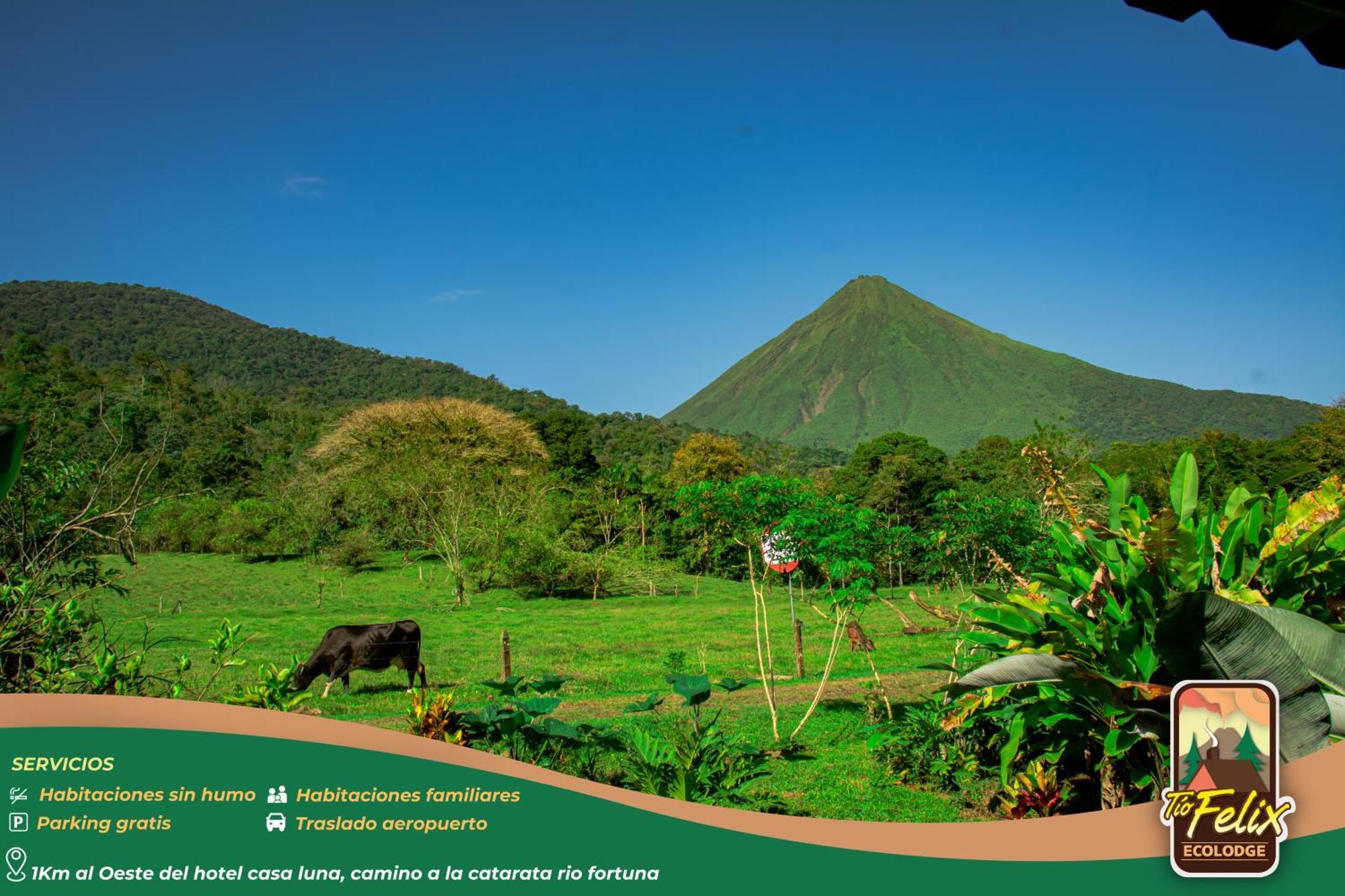Tio Felix Eco Lodge La Fortuna Ngoại thất bức ảnh