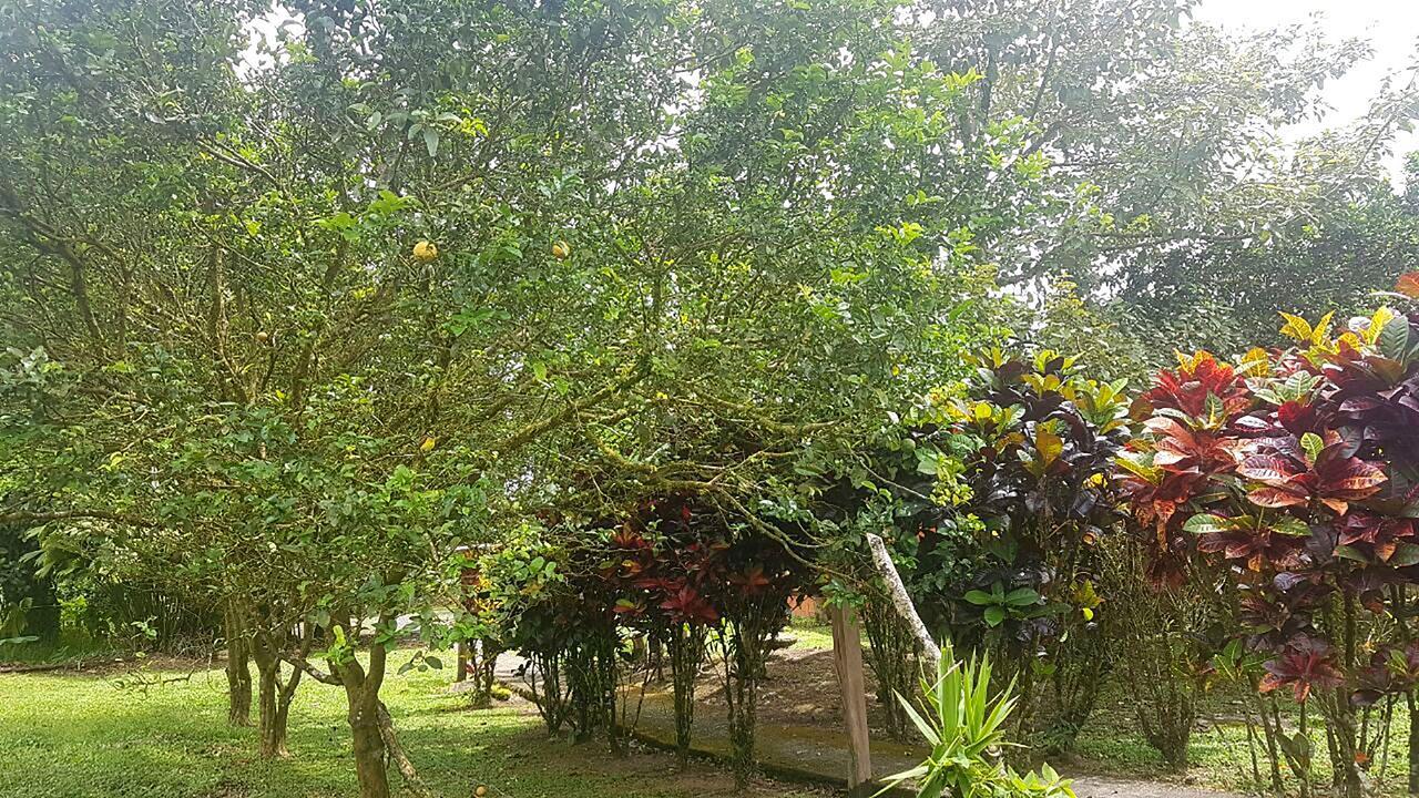 Tio Felix Eco Lodge La Fortuna Ngoại thất bức ảnh