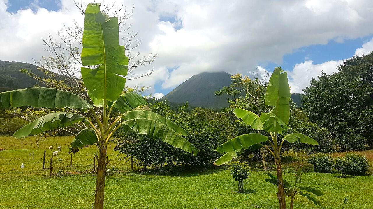 Tio Felix Eco Lodge La Fortuna Ngoại thất bức ảnh