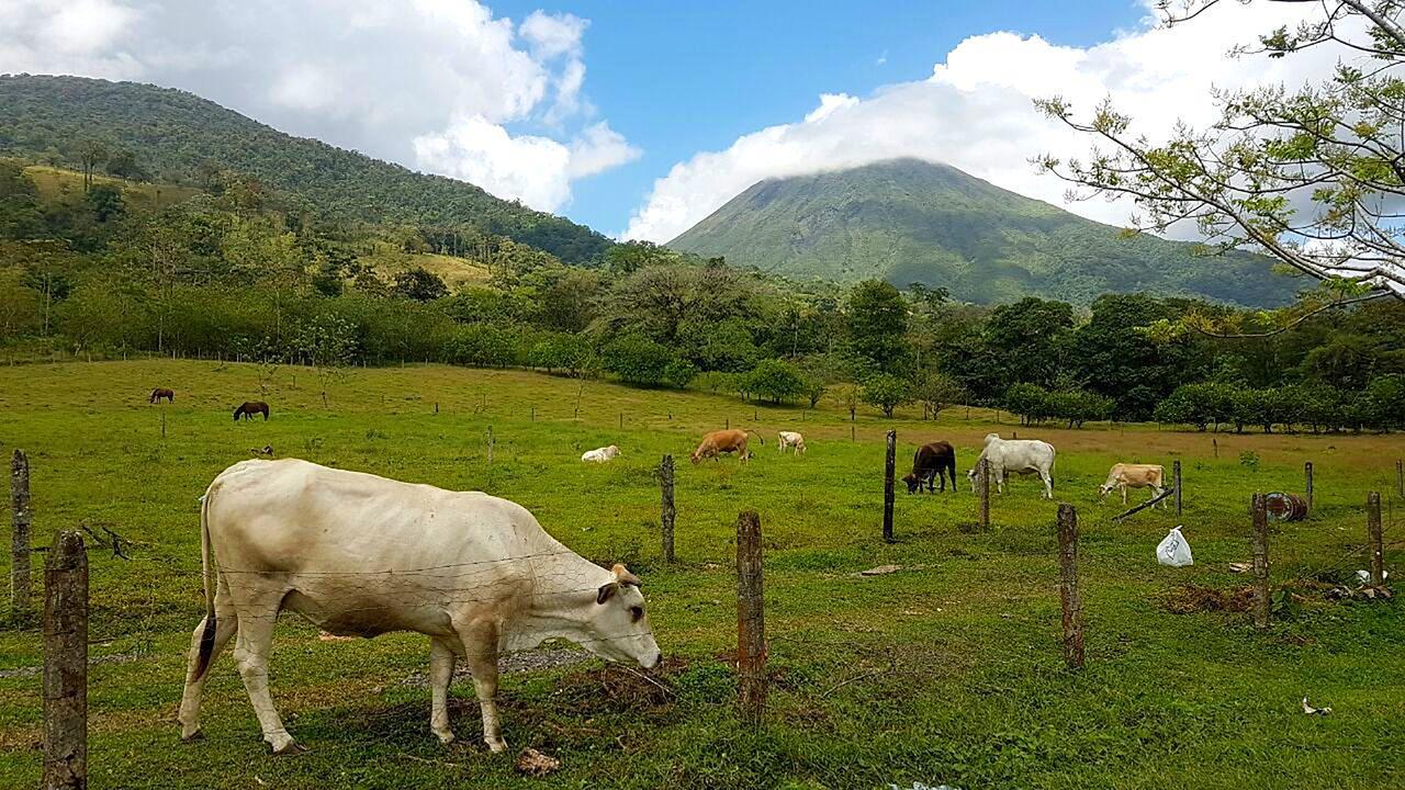 Tio Felix Eco Lodge La Fortuna Ngoại thất bức ảnh